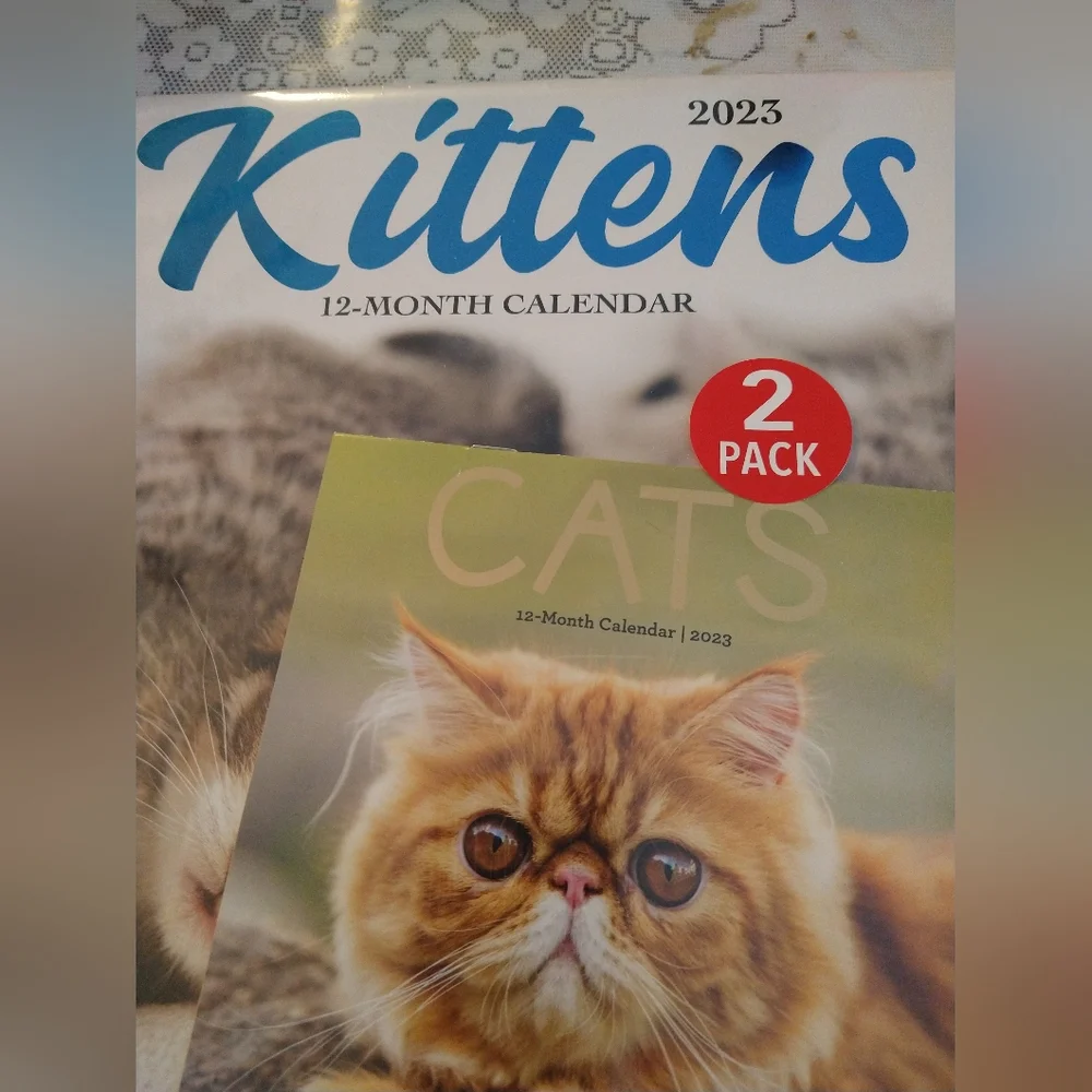 2023 Wall Calendar 12 Months and Pocket Calendar